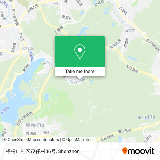 梧桐山社区茂仔村36号 map