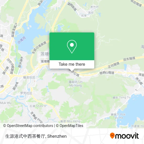 生源港式中西茶餐厅 map