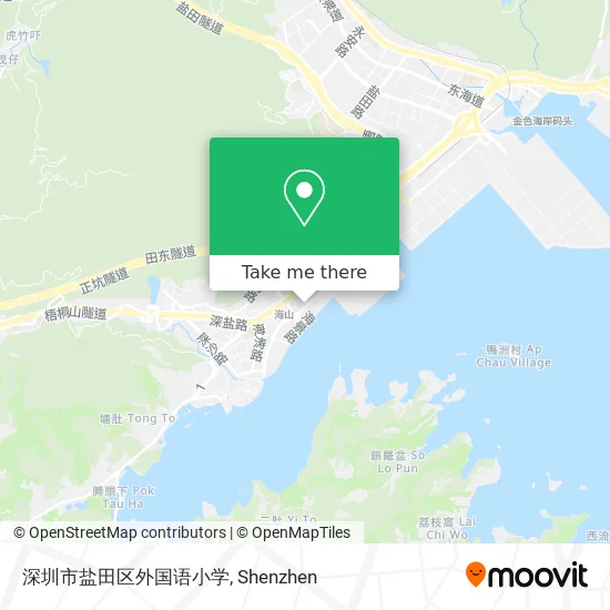 深圳市盐田区外国语小学 map