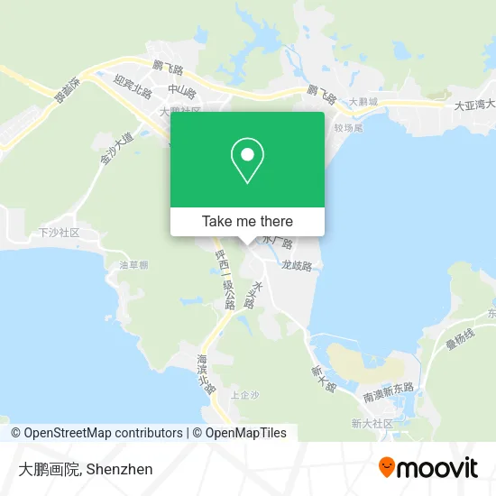 大鹏画院 map