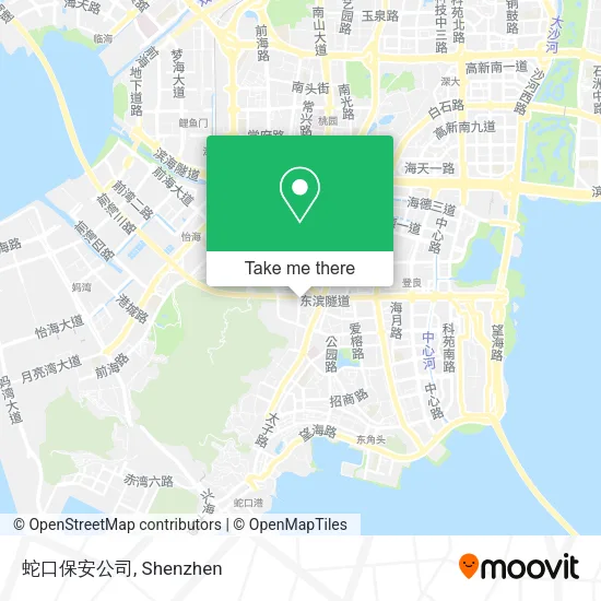 蛇口保安公司 map