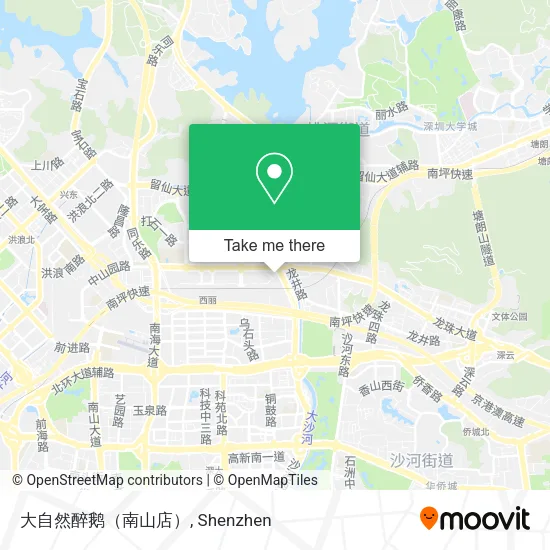 大自然醉鹅（南山店） map