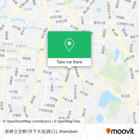 新桥立交桥/洋下大道(路口) map