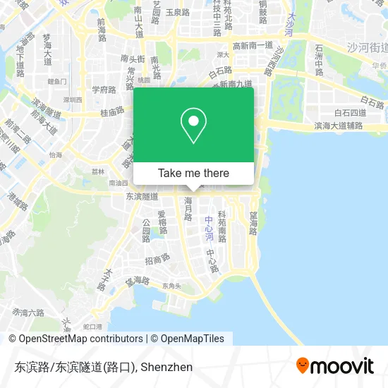 东滨路/东滨隧道(路口) map