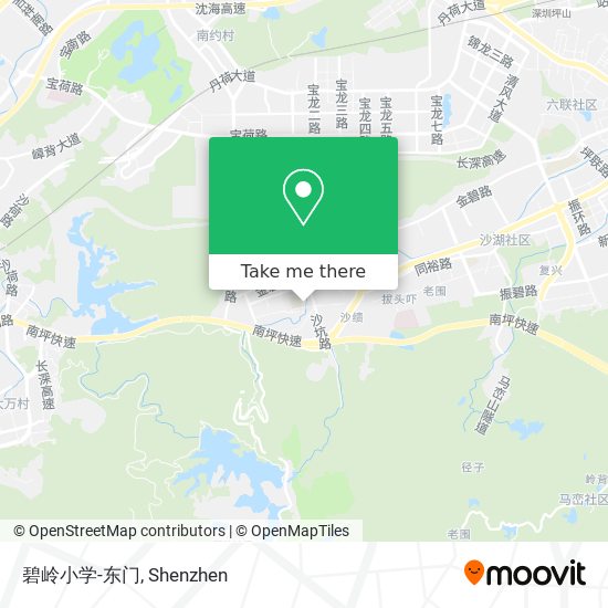 碧岭小学-东门 map