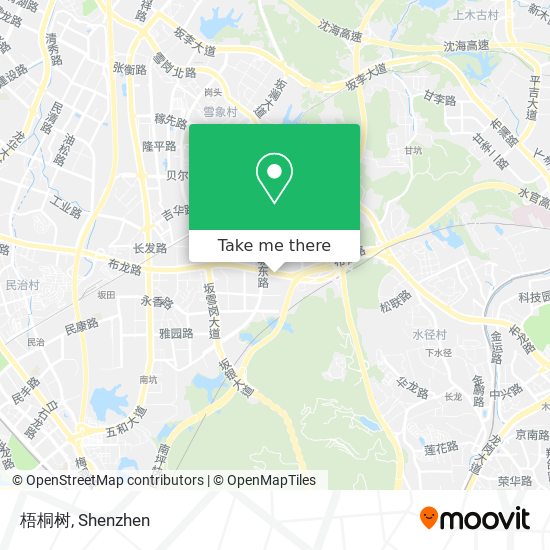 梧桐树 map