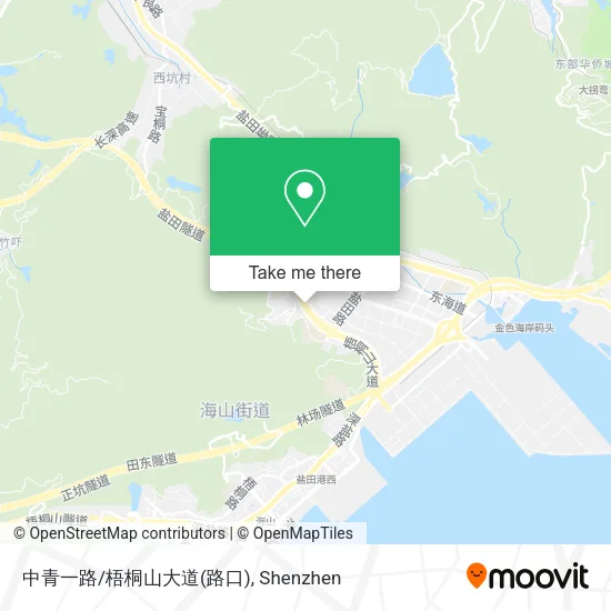 中青一路/梧桐山大道(路口) map