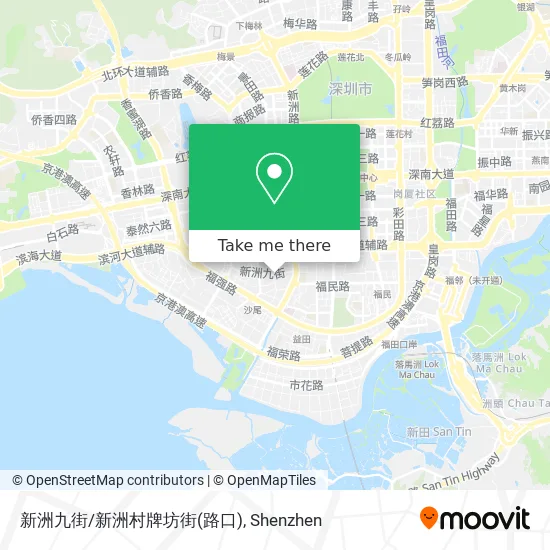 新洲九街/新洲村牌坊街(路口) map