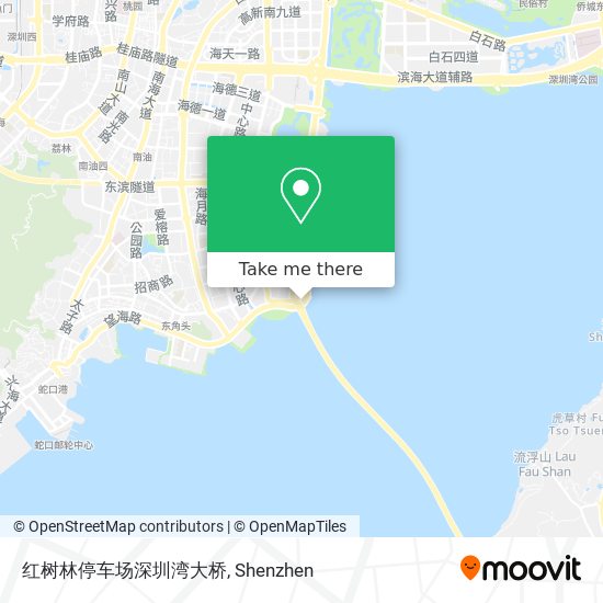 红树林停车场深圳湾大桥 map