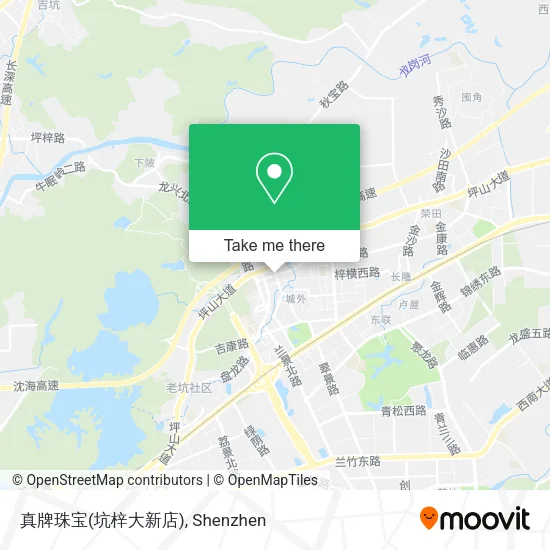 真牌珠宝(坑梓大新店) map