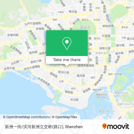 新洲一街/滨河新洲立交桥(路口) map