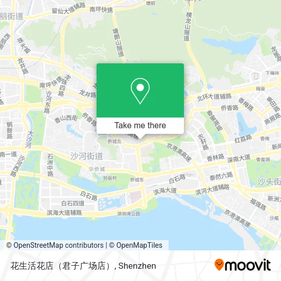 花生活花店（君子广场店） map