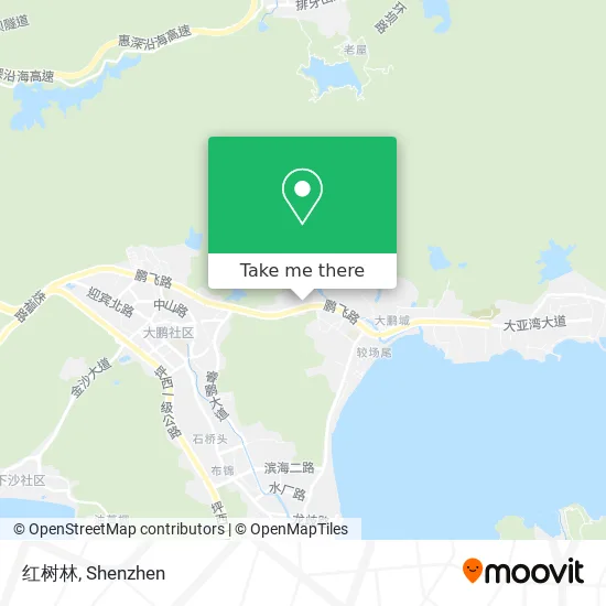 红树林 map