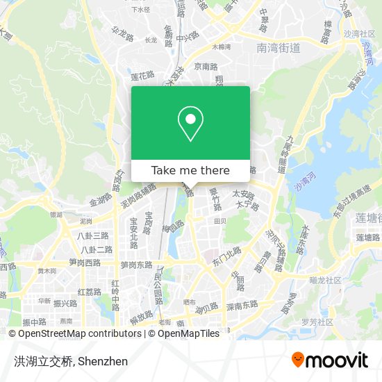 洪湖立交桥 map