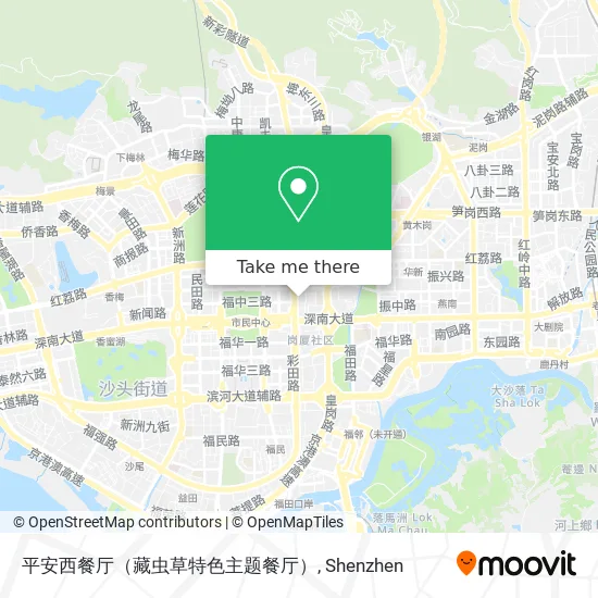 平安西餐厅（藏虫草特色主题餐厅） map