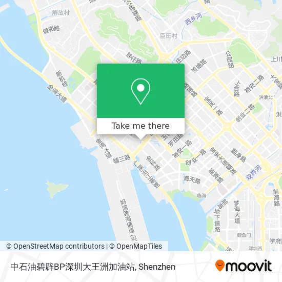 中石油碧辟BP深圳大王洲加油站 map