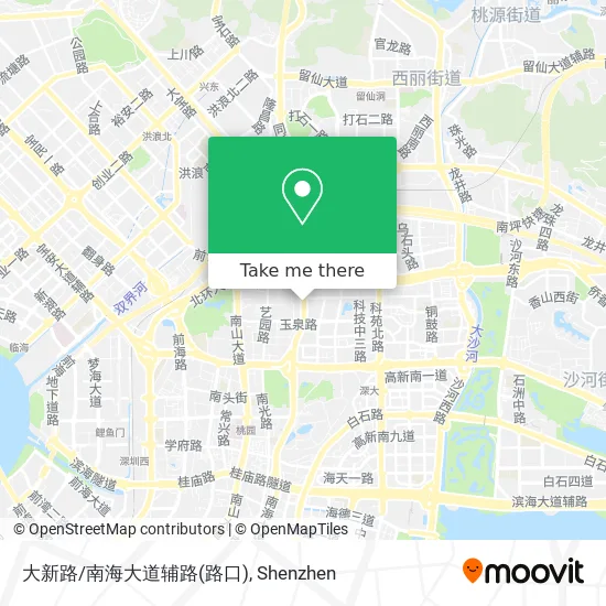 大新路/南海大道辅路(路口) map