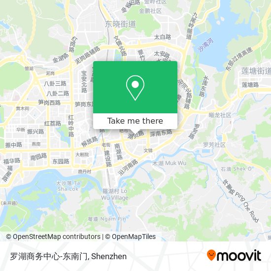 罗湖商务中心-东南门 map