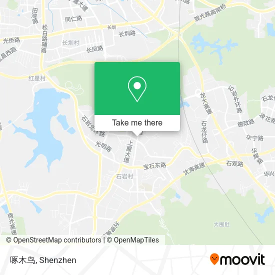 啄木鸟 map