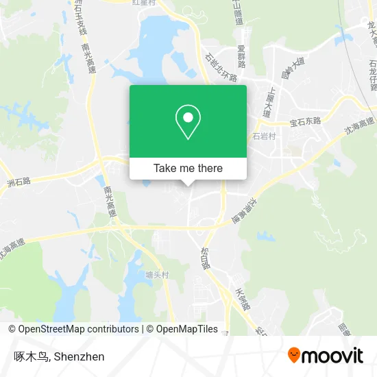啄木鸟 map