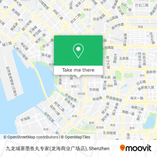 九龙城寨墨鱼丸专家(龙海商业广场店) map