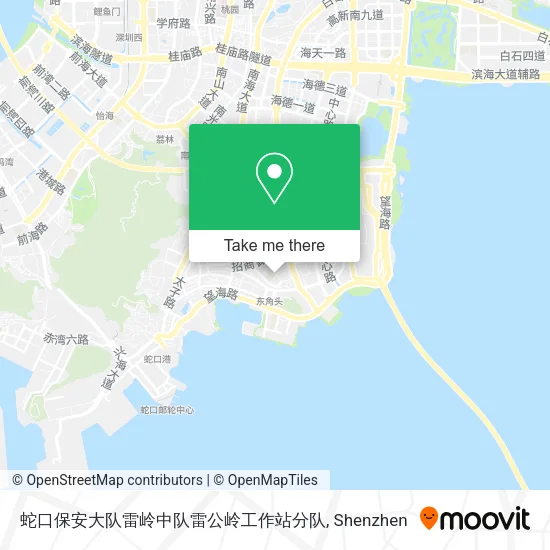 蛇口保安大队雷岭中队雷公岭工作站分队 map