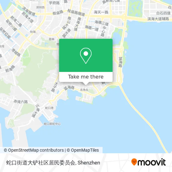 蛇口街道大铲社区居民委员会 map