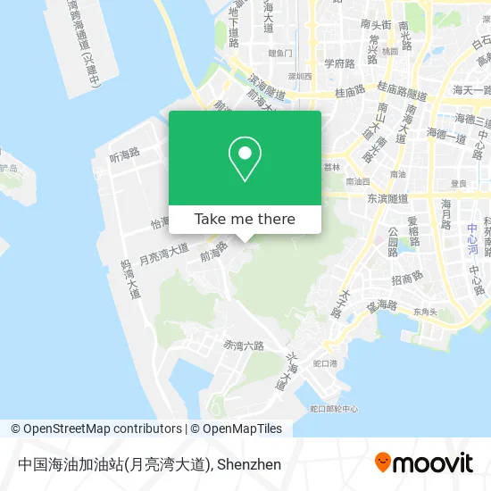 中国海油加油站(月亮湾大道) map
