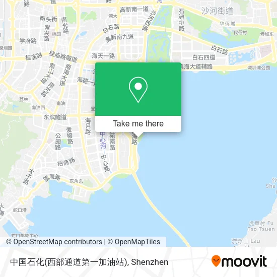 中国石化(西部通道第一加油站) map