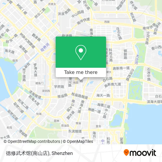 德修武术馆(南山店) map