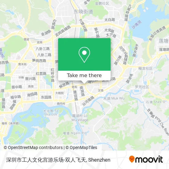 深圳市工人文化宫游乐场-双人飞天 map