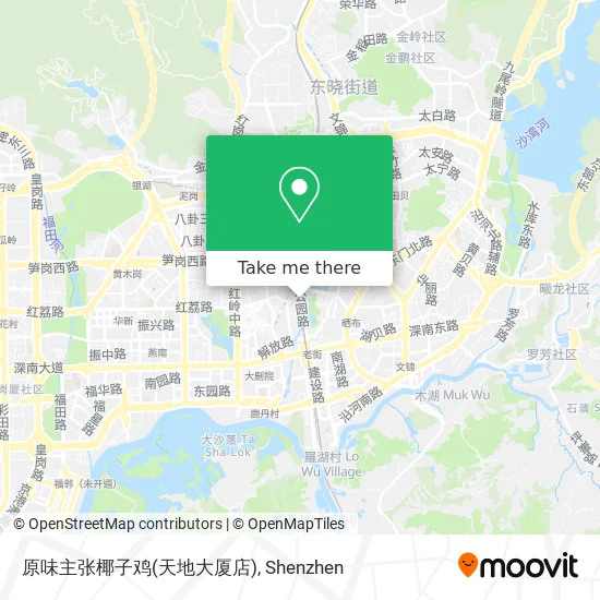 原味主张椰子鸡(天地大厦店) map