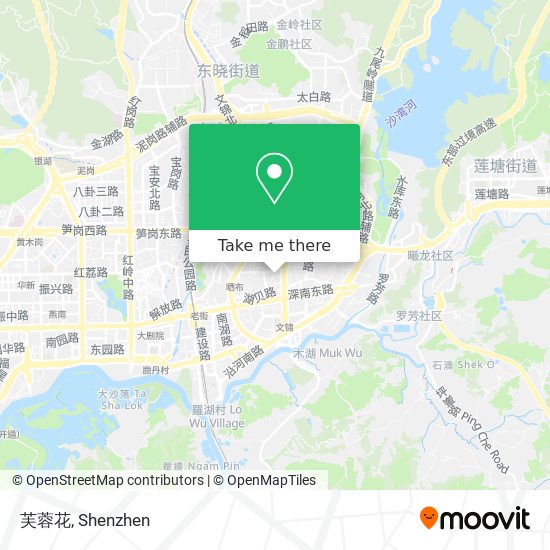 芙蓉花 map