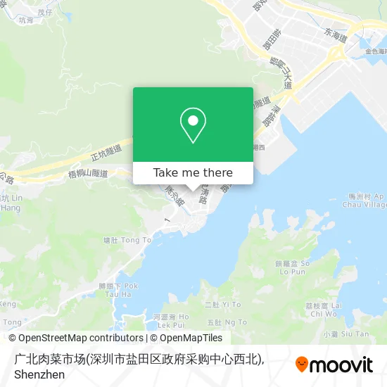 广北肉菜市场(深圳市盐田区政府采购中心西北) map