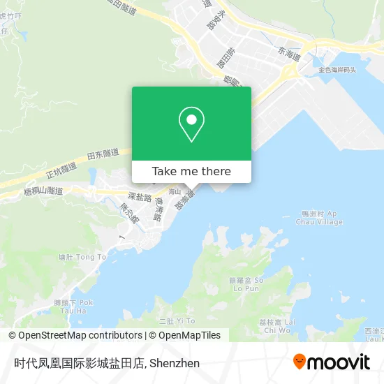 时代凤凰国际影城盐田店 map