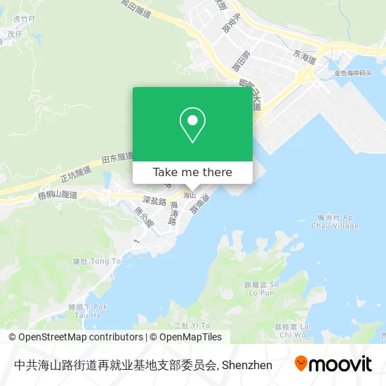 中共海山路街道再就业基地支部委员会 map