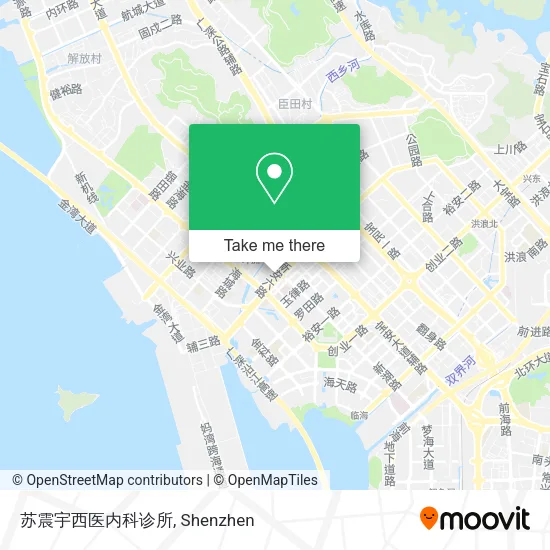 苏震宇西医内科诊所 map