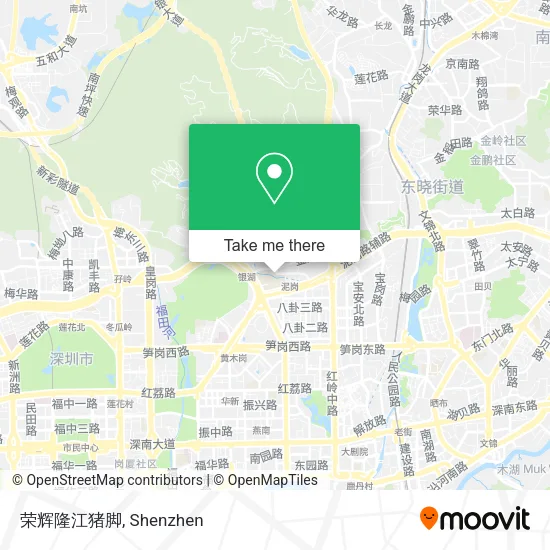 荣辉隆江猪脚 map