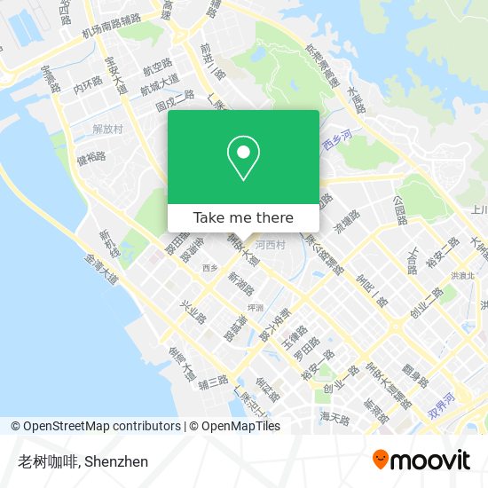 老树咖啡 map