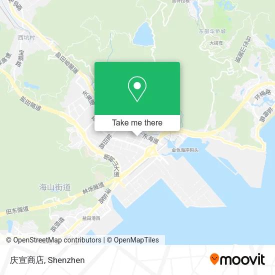 庆宣商店 map