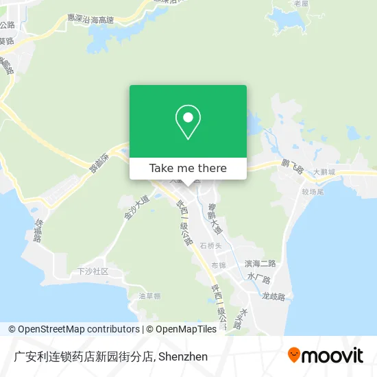 广安利连锁药店新园街分店 map