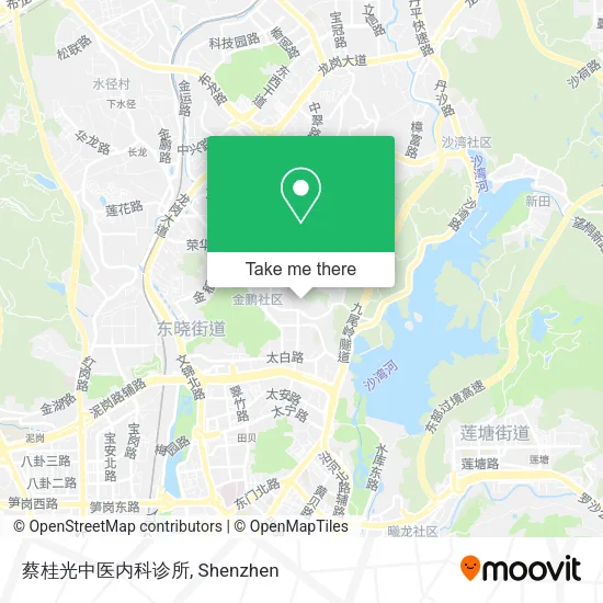 蔡桂光中医内科诊所 map