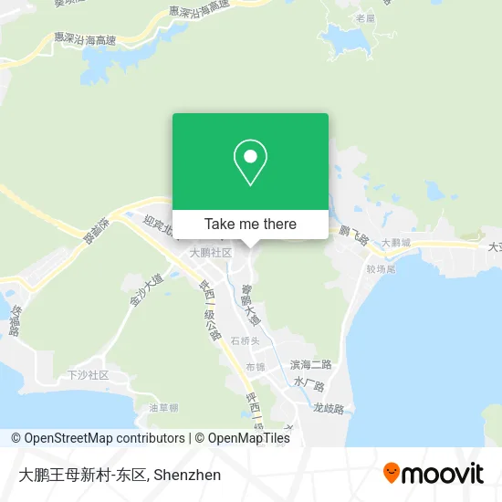 大鹏王母新村-东区 map