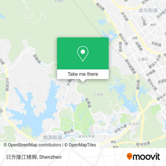 日升隆江猪脚 map