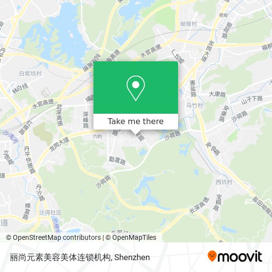 丽尚元素美容美体连锁机构 map