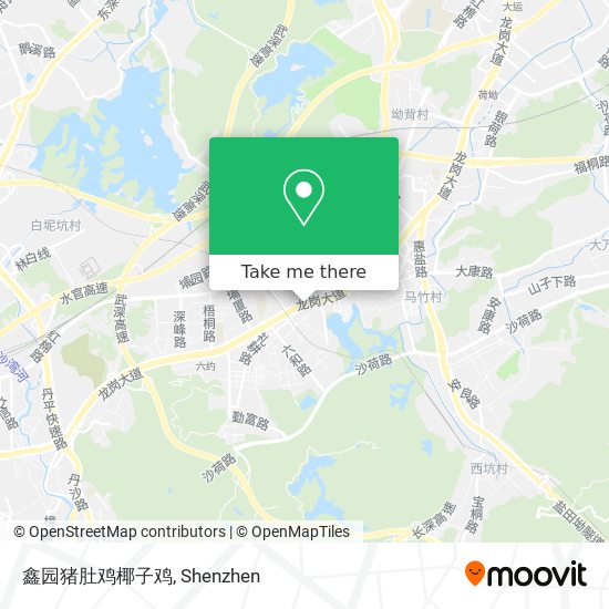 鑫园猪肚鸡椰子鸡 map