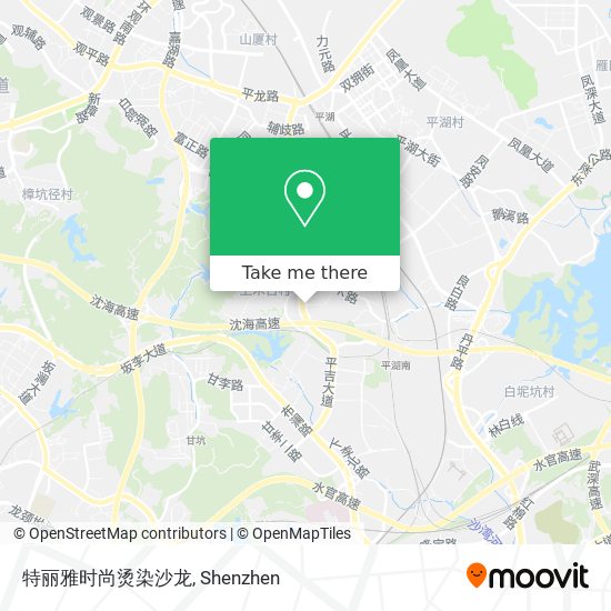 特丽雅时尚烫染沙龙 map