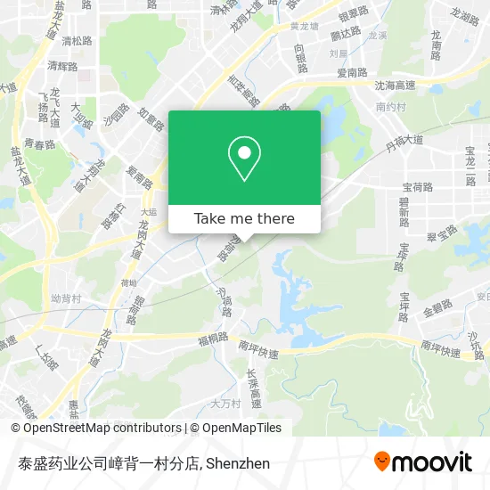 泰盛药业公司嶂背一村分店 map