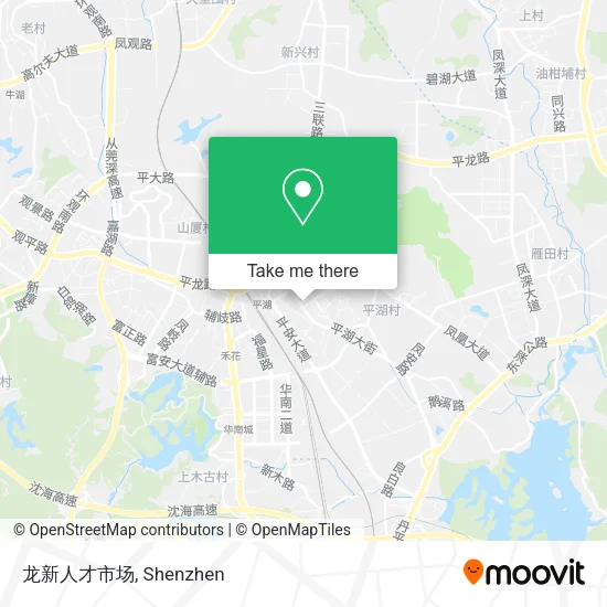 龙新人才市场 map