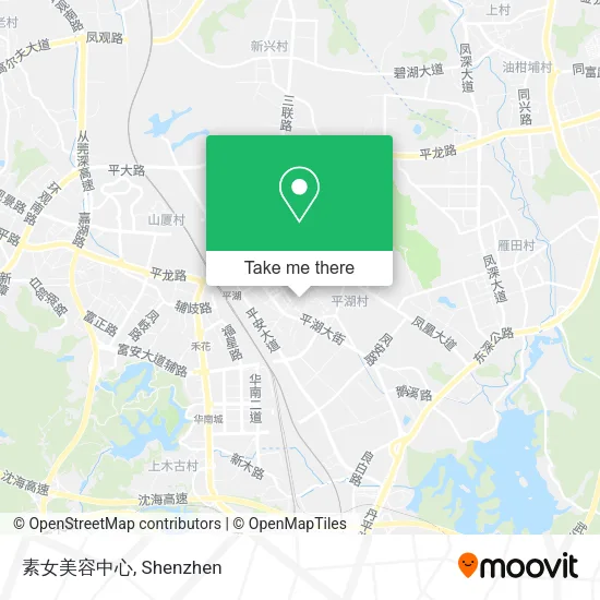 素女美容中心 map